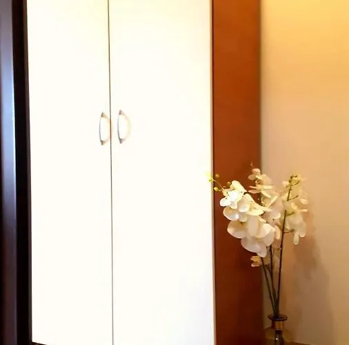 Family Solar מלון *