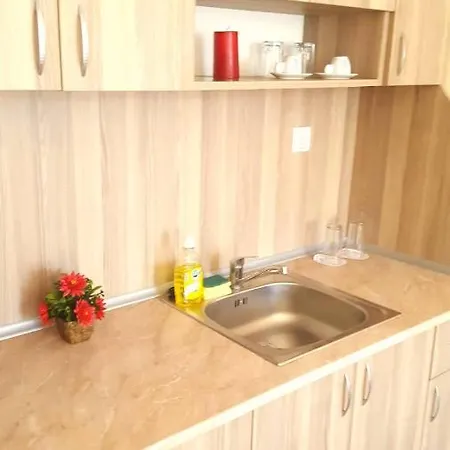 Family Solar Солнечный берег